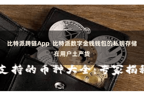 比特派跨链App  比特派数字金钱钱包的私钥存储在用户土产货